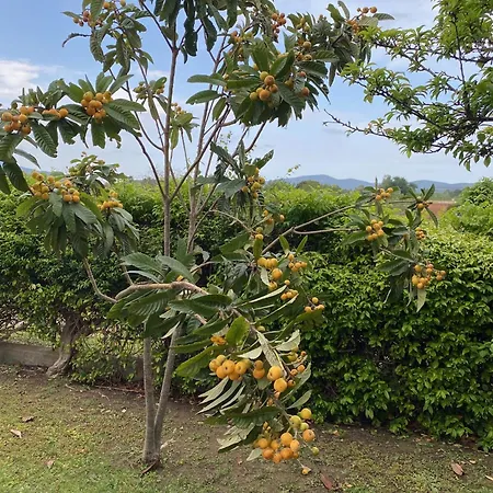 Con Grande Giardino Vicino Di Campus Villasimius
