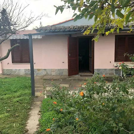 Con Grande Giardino Vicino Di Campus וילסימיוס