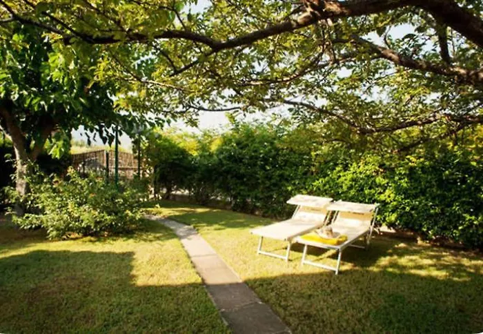 Vila Con Grande Giardino Vicino Di Campus *