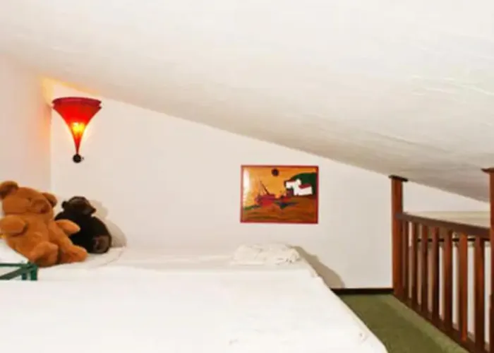 Con Grande Giardino Vicino Di Campus *