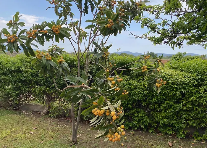 Con Grande Giardino Vicino Di Campus Villasimius