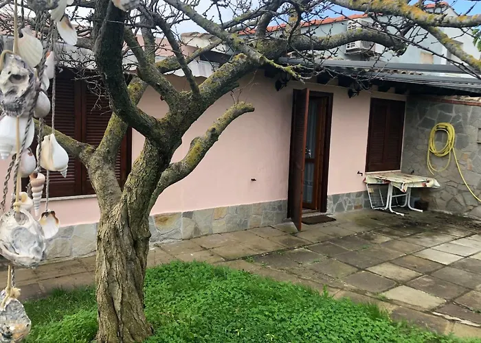 Vila Con Grande Giardino Vicino Di Campus *